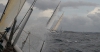 chasing Swan 56